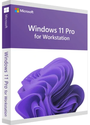 Windows 11 Pro Workstation