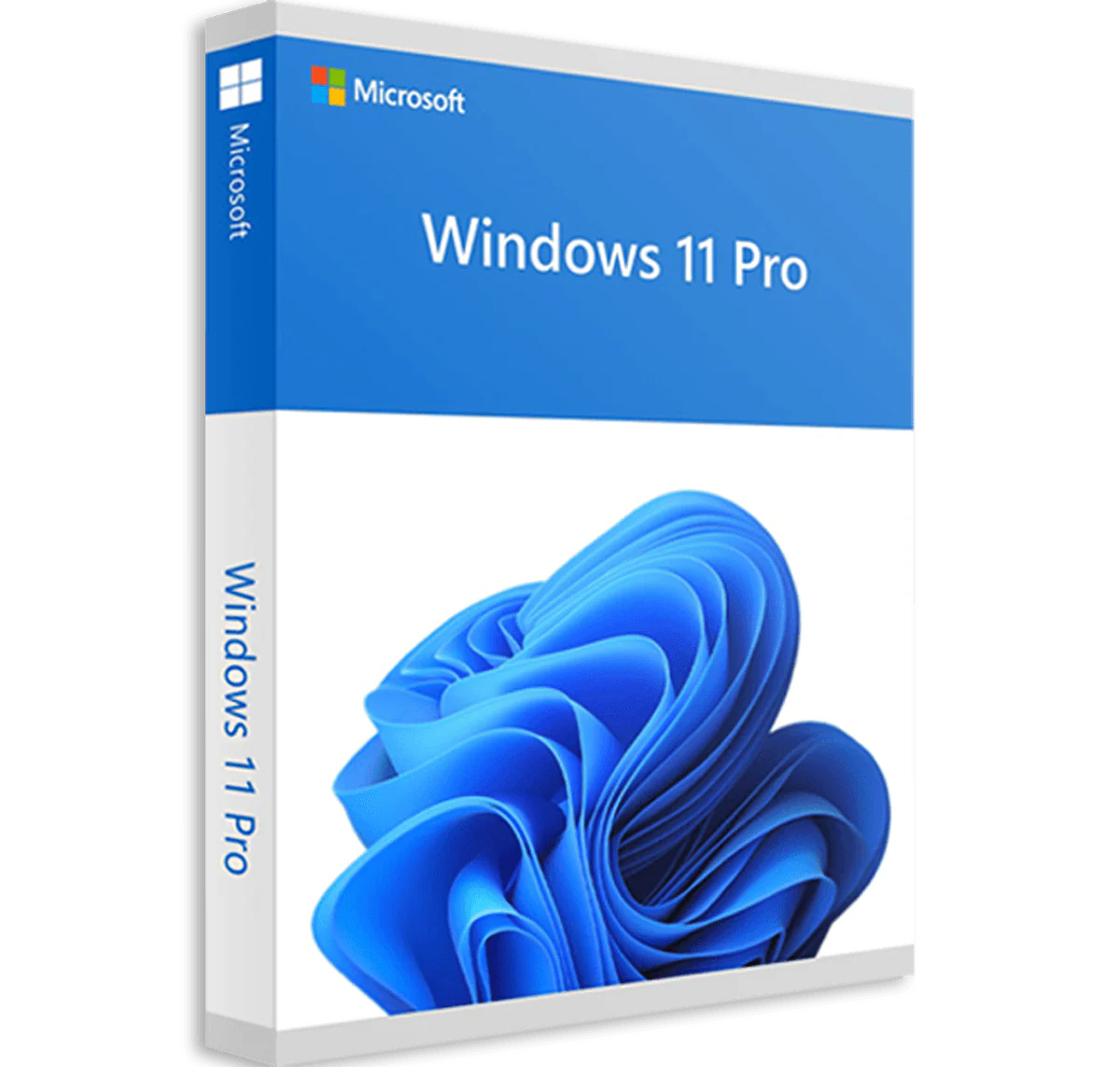 Windows 11 Pro - Licencia OEM